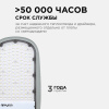 Уличный консольный светильник Apeyron 29-04 — купить в Bronko‑Decor