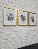 Постер Tomas Stern 83024 — купить в Bronko‑Decor