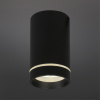 Потолочный светильник Aployt Edda APL.0054.19.10 — купить в Bronko‑Decor
