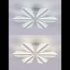 Потолочная люстра Natali Kovaltseva Led Light LED LAMPS 81165 — купить в Bronko‑Decor