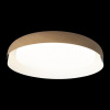 Потолочный светильник Loft IT Coin 10198 White — купить в Bronko‑Decor