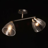 Потолочный светильник De Markt Дэла 635017402 — купить в Bronko‑Decor