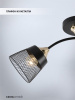 Потолочный светильник Seven Fires Bens SF3381/2C-BK-FGD-BK — купить в Bronko‑Decor