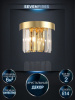 Настенный светильник Lumien Hall Daneil LH0057/2W-GD-CL — купить в Bronko‑Decor