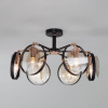 Потолочный светильник Eurosvet Gallo 70121/6 черный Smart a052341 — купить в Bronko‑Decor