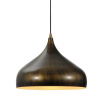 Подвесной светильник Lussole Loft GRLSP-9655 — купить в Bronko‑Decor