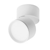 Накладной спот Lightstar Acuto 215836 — купить в Bronko‑Decor