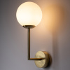 Бра Nowodvorski Agave Brass 10526 — купить в Bronko‑Decor