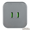 Трековая розетка Arte Milano Am-track-sockets 380022TS/USBx2 Grey — купить в Bronko‑Decor