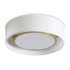 Потолочный светильник Freya Cozy FR6170CL-L52BS — купить в Bronko‑Decor