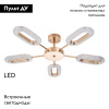 Потолочная люстра Arte Lamp Ovale A2489PL-5GO — купить в Bronko‑Decor