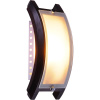 Настенный светильник Globo Admiral 41309 — купить в Bronko‑Decor