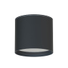 Уличный потолочный светильник Favourite Fantum 4663-1U — купить в Bronko‑Decor