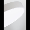 Потолочный светильник Natali Kovaltseva Modern LED LAMPS 81105/2C — купить в Bronko‑Decor