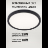 Потолочный светильник Natali Kovaltseva Plain LED LAMPS 81114/2C — купить в Bronko‑Decor