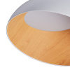 Потолочный светильник Zortes Baum ZRS.01201.20 — купить в Bronko‑Decor