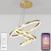 Подвесная люстра Natali Kovaltseva Oreol LED LAMPS 81279 — купить в Bronko‑Decor