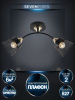 Потолочный светильник Seven Fires Bens SF3381/2C-BK-FGD-BK — купить в Bronko‑Decor