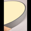 Потолочный светильник Natali Kovaltseva Scandinavian LED LAMPS 81183 — купить в Bronko‑Decor