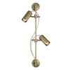 Спот Odeon Light Manchester 7013/2W — купить в Bronko‑Decor
