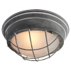 Потолочный светильник Lussole Loft GRLSP-9881 — купить в Bronko‑Decor