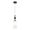 Подвесной светильник ST Luce Aurora SL2003.403.01 — купить в Bronko‑Decor
