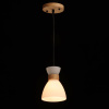 Подвесной светильник De Markt Лоск 107010101 — купить в Bronko‑Decor