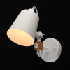 Спот MW-Light Форест 4 693021301 — купить в Bronko‑Decor