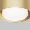 Потолочный светильник Maytoni Space C092CL-GX53-MG — купить в Bronko‑Decor