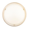Настенно-потолочный светильник Sonex Provence 7605/DL — купить в Bronko‑Decor