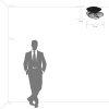 Потолочная люстра Lightstar Zeta 728133 — купить в Bronko‑Decor