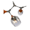 Потолочный светильник EVOLUCE CIOTOLLA SLE113402-05 — купить в Bronko‑Decor