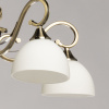 Подвесная люстра De Markt Фелиция 114010805 — купить в Bronko‑Decor
