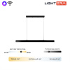 Линейный подвесной светильник Lightera Baffin LE112L-120B WIFI — купить в Bronko‑Decor
