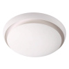 Потолочный светодиодный светильник Novotech Cail 357931 — купить в Bronko‑Decor