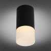 Потолочный светильник Omnilux Lucido OML-100619-01 — купить в Bronko‑Decor