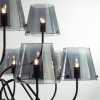 Люстра на штанге Lumion Smoky 6570/12C — купить в Bronko‑Decor