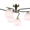 Потолочная люстра Illumico IL0638-6CSQ-24 AB BK LIBRA — купить в Bronko‑Decor