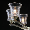 Подвесная люстра MW-Light 481013908 — купить в Bronko‑Decor
