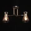 Потолочный светильник De Markt Дэла 635015802 — купить в Bronko‑Decor