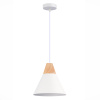 Подвесной светильник Evoluce Modica SLE125103-01 — купить в Bronko‑Decor