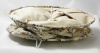 Торшер Lussole Lgo LSP-0503 — купить в Bronko‑Decor