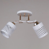 Потолочный светильник Reluce 08235-0.3-02 WT+FG — купить в Bronko‑Decor
