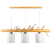 Подвесной светильник Ritter Birdie 52440 3 — купить в Bronko‑Decor