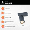 Спот Vele Luce Carrisi VL8067S31 — купить в Bronko‑Decor