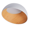 Потолочный светильник Zortes Baum ZRS.01201.20 — купить в Bronko‑Decor