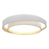 Потолочный светильник Evoluce Crosby SLE6009-502-01 — купить в Bronko‑Decor