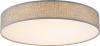 Потолочный светодиодный светильник Globo Paco 15185D2 — купить в Bronko‑Decor