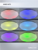 Потолочный светильник Seven Fires Эйри 45702.45.90.77RGB — купить в Bronko‑Decor