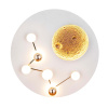 Потолочная люстра Favourite Plaides 4630-5C — купить в Bronko‑Decor